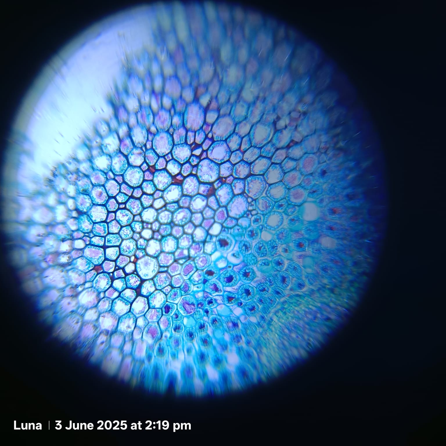 post_media%2FlGbJLf1x7nVMWuBle0CumfGqjRJ3%2Fnopid%2Fsexe3yidwc_WhatsApp%20Image%202025-06-10%20at%2013.55.55.jpeg?alt=media&token=37179fc6-6a78-4851-a50c-02c366aa2274