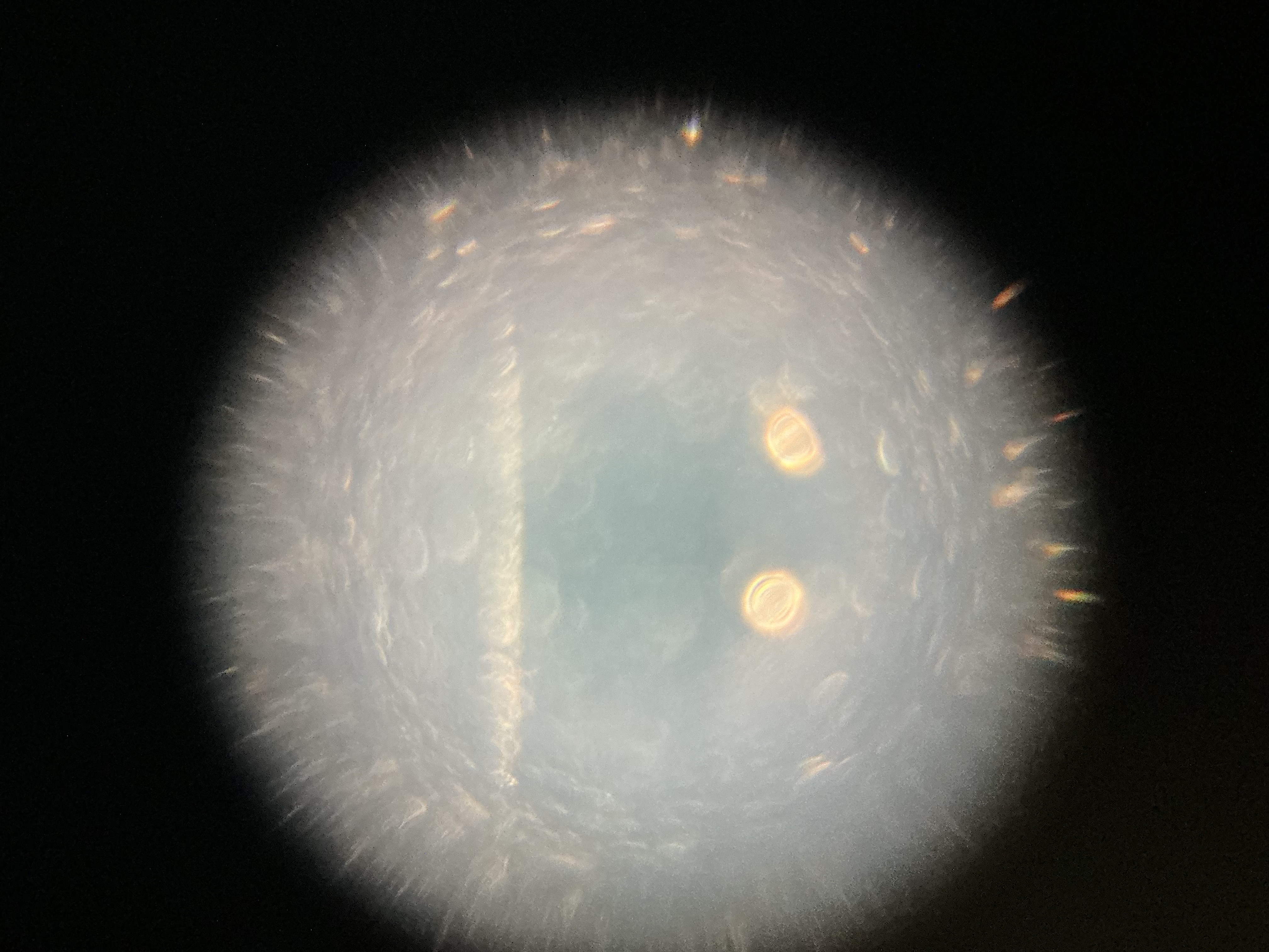 post_media%2FlSoX37cxttTVttll4HqpVAmSnzA3%2Fnopid%2Fnm8456lvqx_Soap.jpeg?alt=media&token=1519a4d5-0f64-4e5e-a05b-478a9d447053