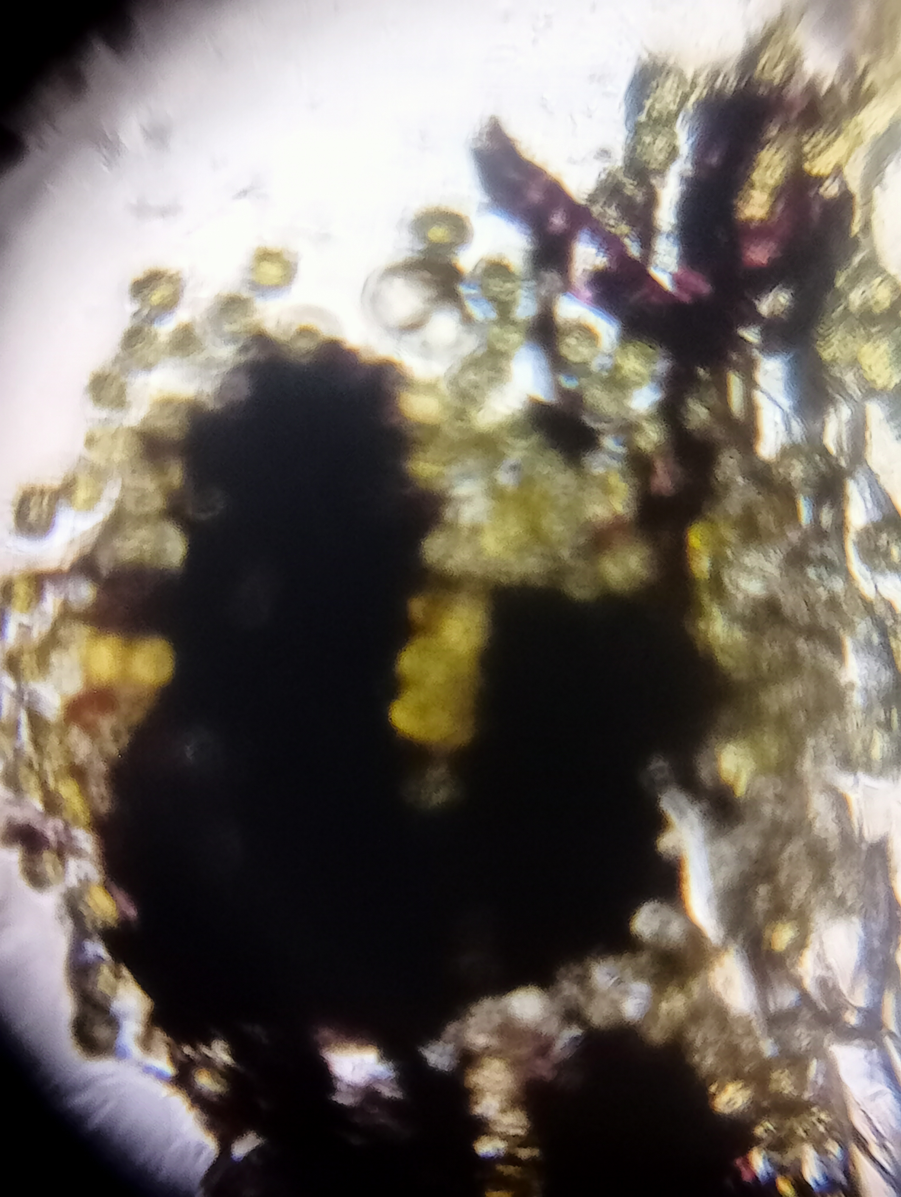 post_media%2Fme0wu54u9oXqnzS7uTW4Y3i2V3c2%2FEjhaxD8vMo9GPnTzSAy4%2F0f9nqsnnn4_IMG20240822123408.jpg?alt=media&token=9ad49158-8542-4152-9ea3-f290775f7a83