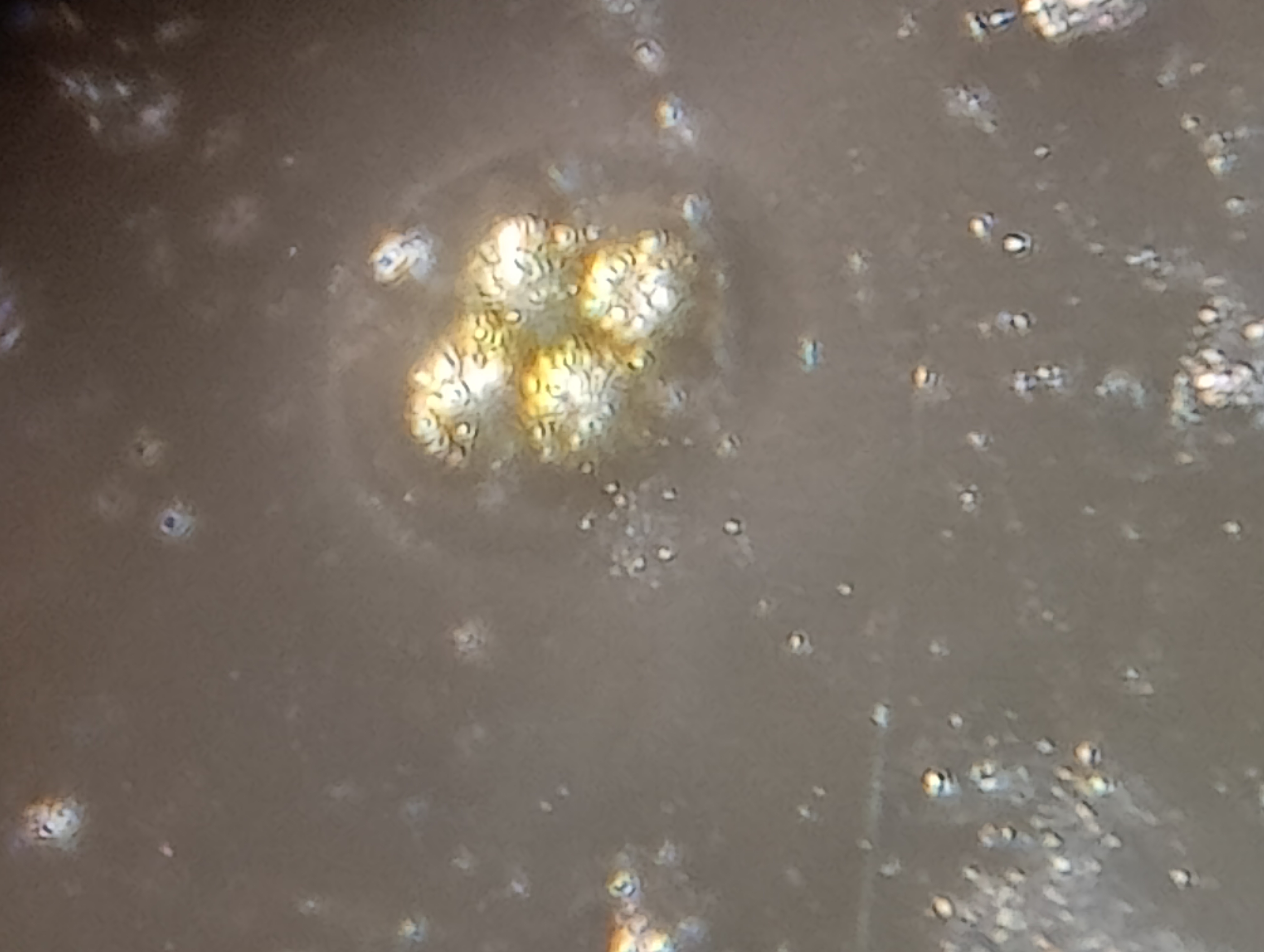 post_media%2Fme0wu54u9oXqnzS7uTW4Y3i2V3c2%2FEjhaxD8vMo9GPnTzSAy4%2F2nslaxnnui_IMG20240822124057.jpg?alt=media&token=8fd8cdd9-6e65-44f0-890f-4be58176361d