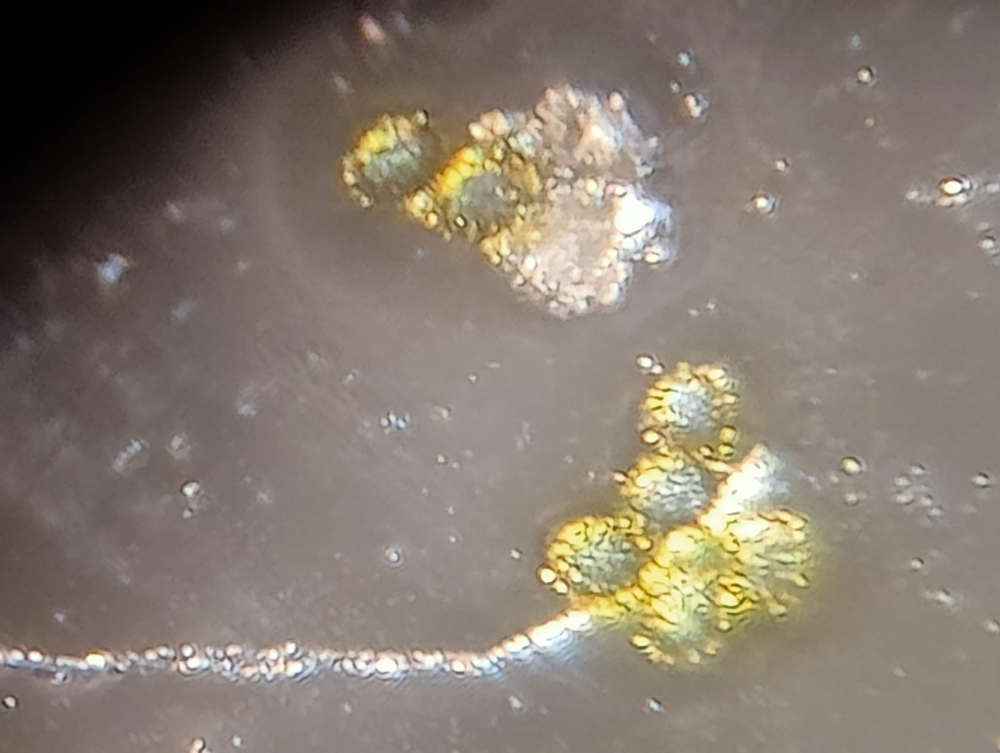 post_media%2Fme0wu54u9oXqnzS7uTW4Y3i2V3c2%2FEjhaxD8vMo9GPnTzSAy4%2Fn8za6notfh_IMG20240822124115.jpg?alt=media&token=3194a0c8-8e02-4fa1-a5ae-ce50ba33047c