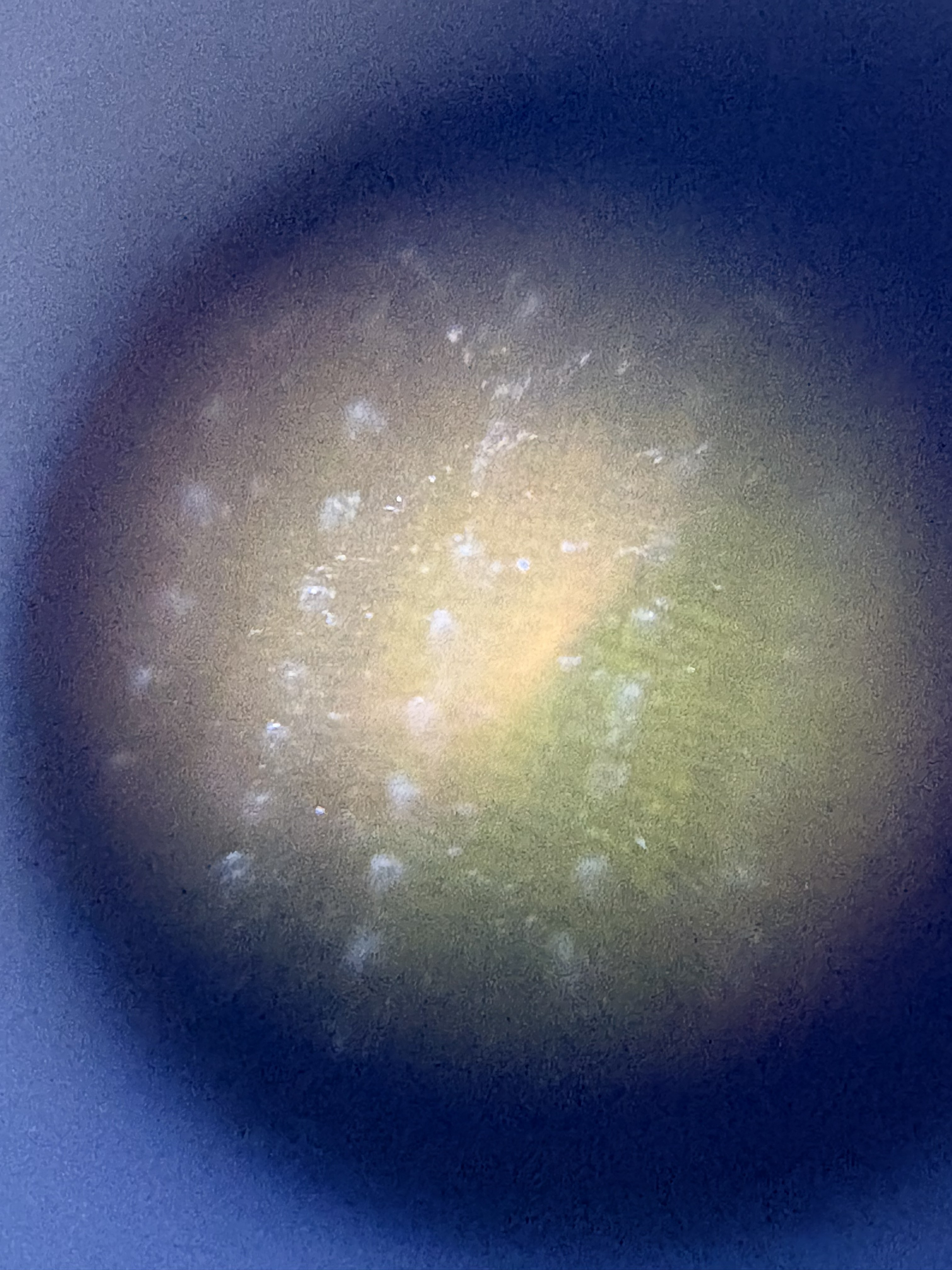 post_media%2FntI2STOXEXdB5NxkOXw1Oclc7pn1%2FIyJ0jSnfMrRQ9rizu4Oc%2Fvnmxeleg4i_foldscope%201.jpg?alt=media&token=0f7d9b2a-aba7-460a-a0eb-d54f0eaf3c33