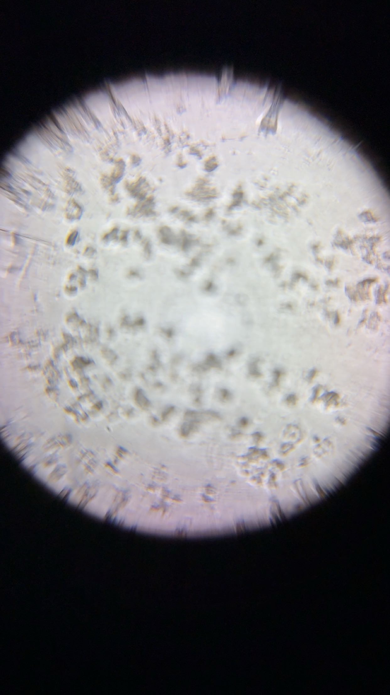 post_media%2FoJ6Zvvf6CkdGeIoSbd68BYYsMMv2%2Fnopid%2Fv9atk2ojdq_IMG_4210.JPG?alt=media&token=4a48daa8-daab-4299-93ac-d495bb6c9972