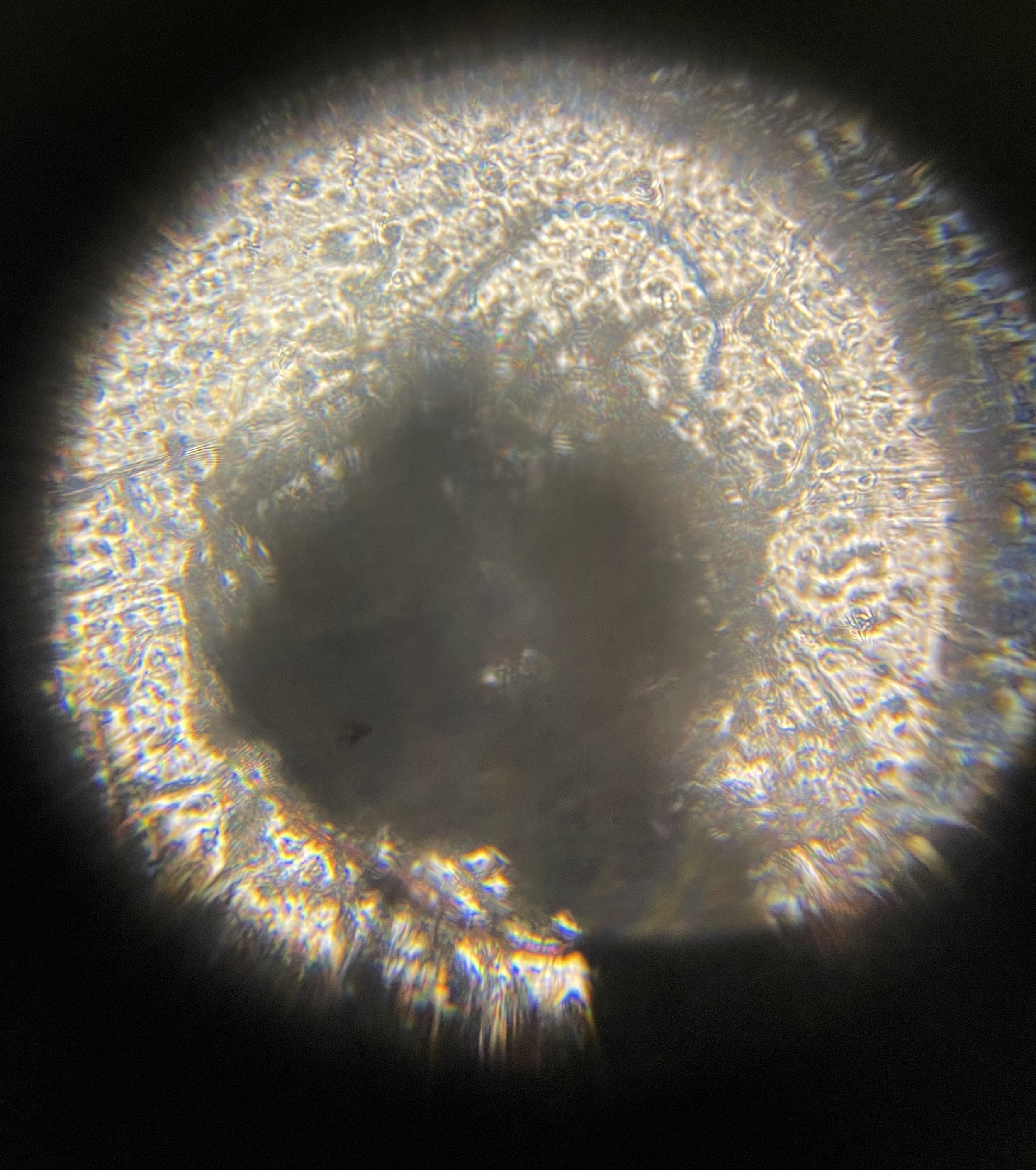 post_media%2FpEntui63bxRijsy7JdWACQDmEZA3%2Fnopid%2Fl48qcrs1hk_IMG_2437.jpg?alt=media&token=152a265f-9ba8-415e-92e3-3a2d3e727dea