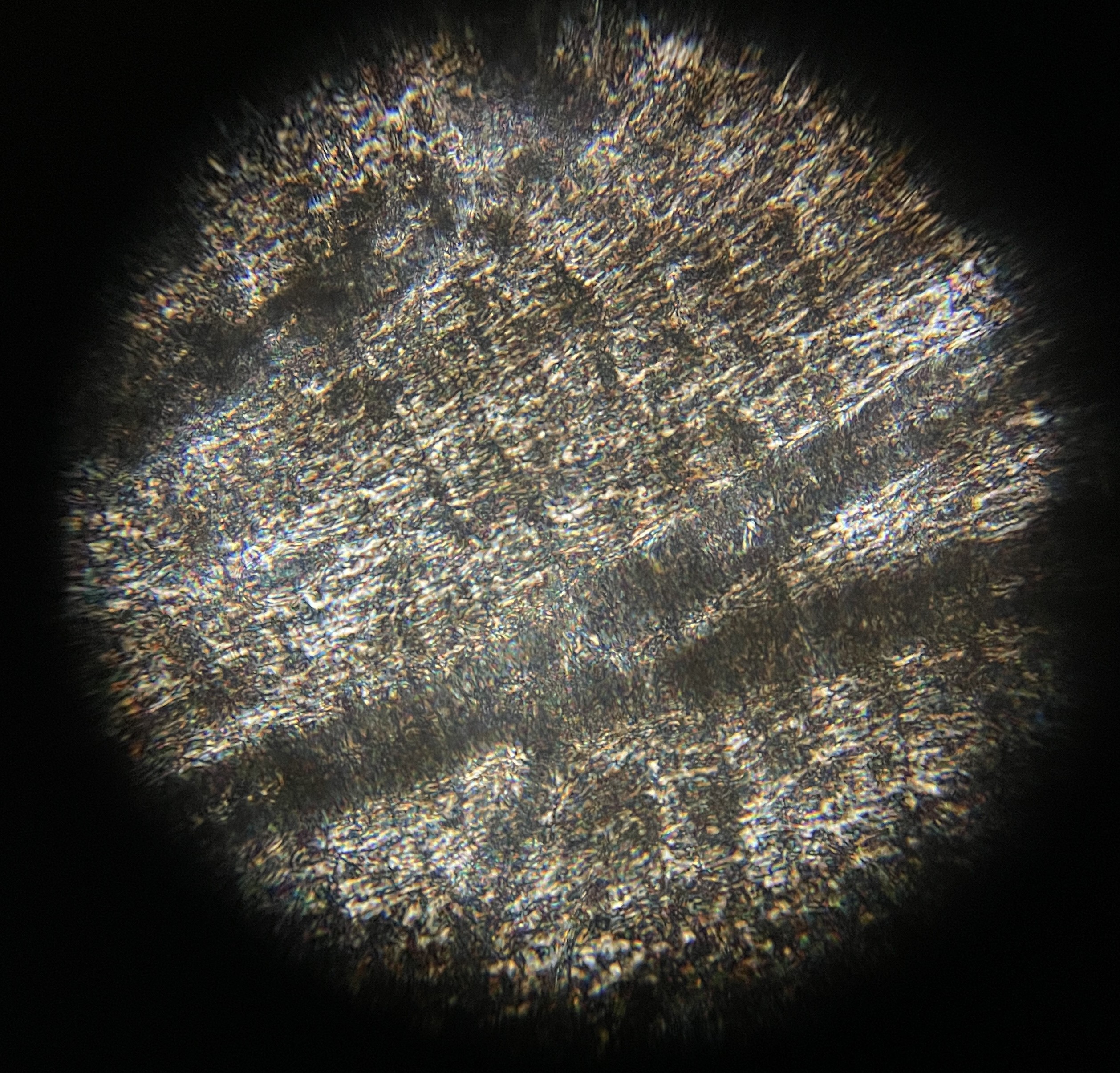 post_media%2FpEntui63bxRijsy7JdWACQDmEZA3%2Fnopid%2Fvu9hcguan1_IMG_2418.JPG?alt=media&token=4deb09e2-3282-42b3-8d02-05c65dda158e