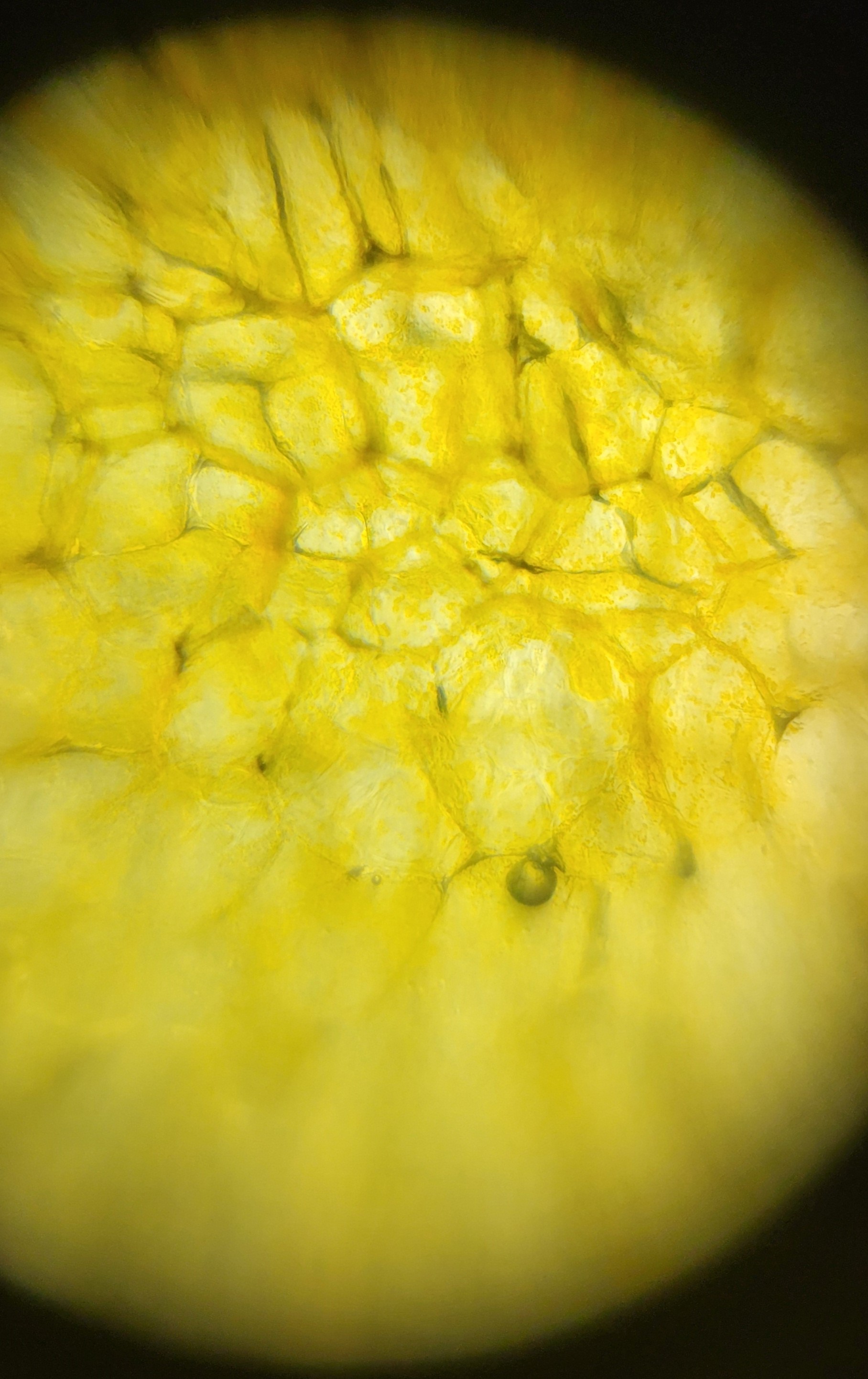 post_media%2Fq9SyDgedbFOQydcPSL5kVDGQ8cB2%2Fnopid%2F0vl36g4syi_20260403_133133.jpg?alt=media&token=2f891764-80fd-4196-8569-1704d16e4156