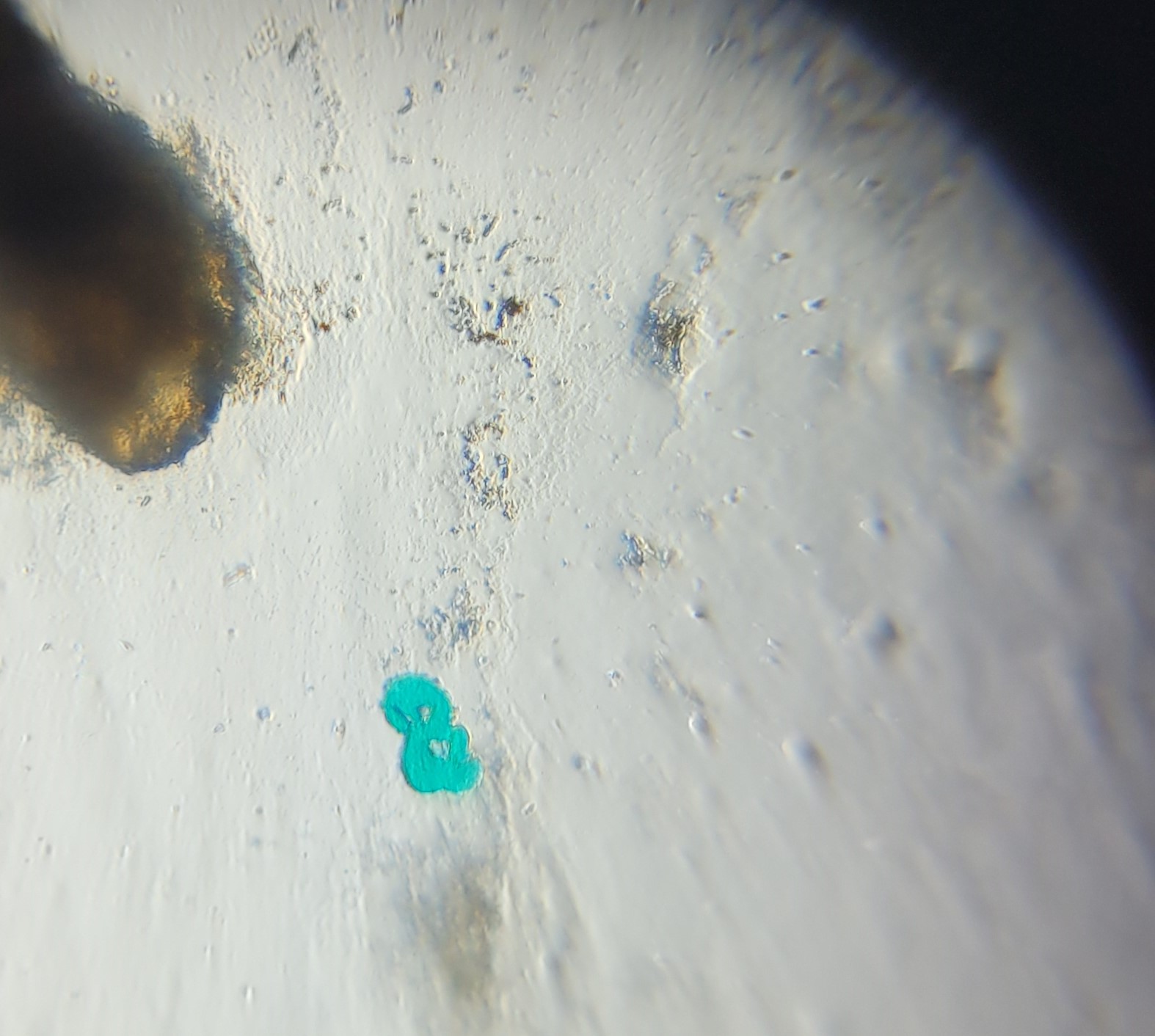 post_media%2Fq9SyDgedbFOQydcPSL5kVDGQ8cB2%2Fnopid%2F1t75jot12s_20260403_125311.jpg?alt=media&token=734f2899-d7b8-476c-839a-60c9970a9655