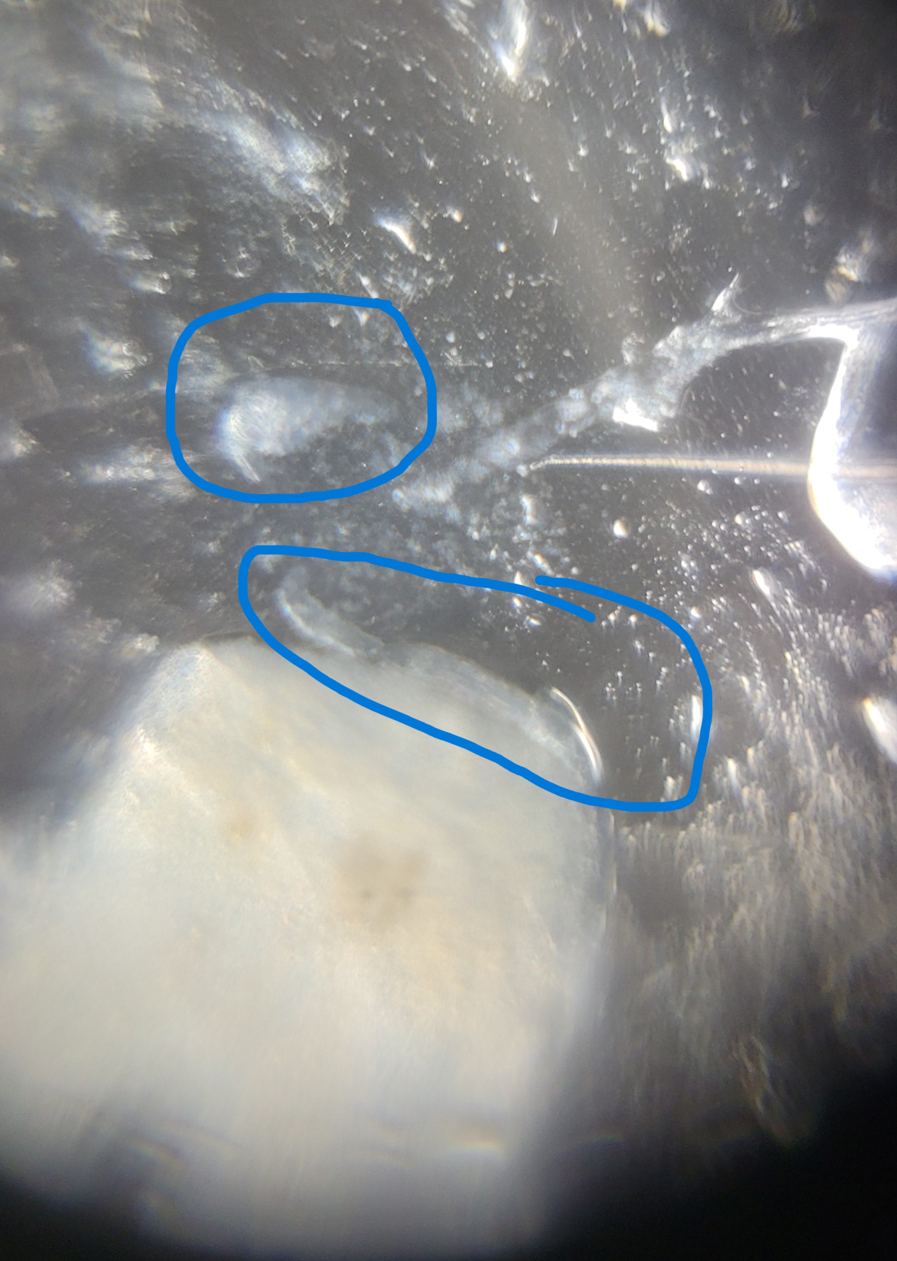 post_media%2Fq9SyDgedbFOQydcPSL5kVDGQ8cB2%2Fnopid%2F4i0oimf1jf_20260403_134639.jpg?alt=media&token=5ad9704d-099a-49fa-93fd-1b8296a651ef