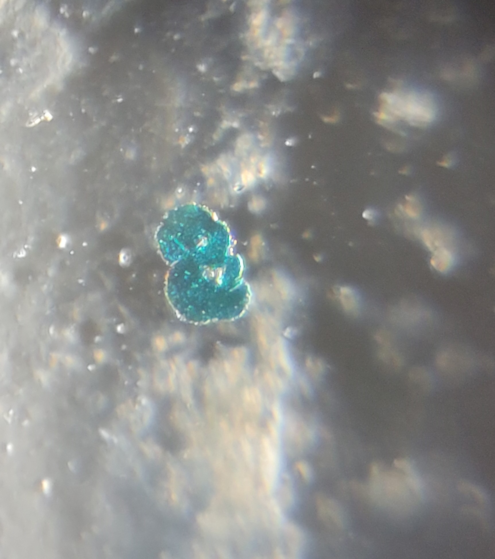 post_media%2Fq9SyDgedbFOQydcPSL5kVDGQ8cB2%2Fnopid%2Fgdtg494o8d_20260403_125351.jpg?alt=media&token=e9af5bb8-7ab3-4a58-bde6-21bbd7b03bac