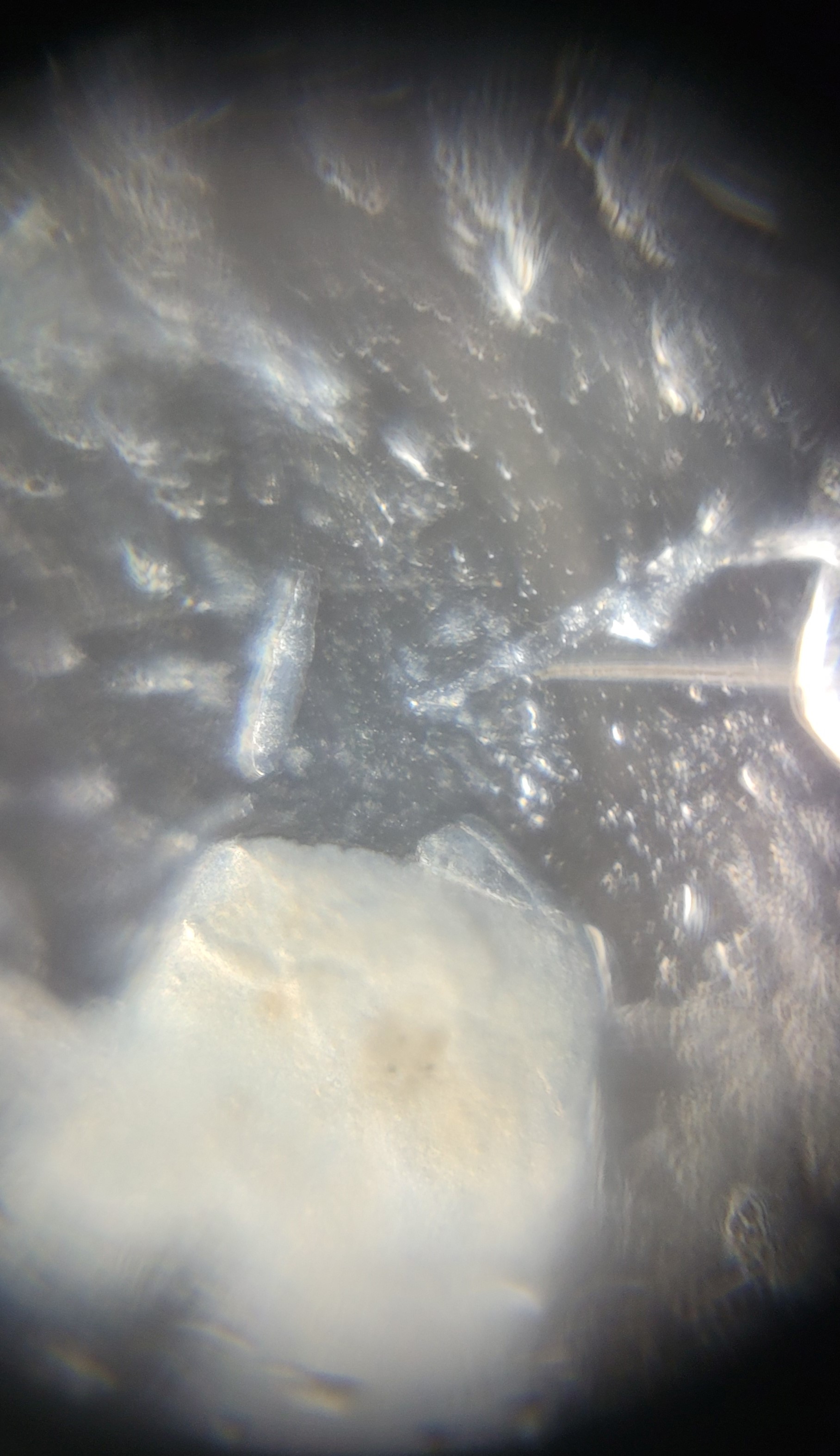 post_media%2Fq9SyDgedbFOQydcPSL5kVDGQ8cB2%2Fnopid%2Fqxdkbayutp_20260403_134633.jpg?alt=media&token=74ab5058-e5dc-4d27-a7ba-0a897266e2b2