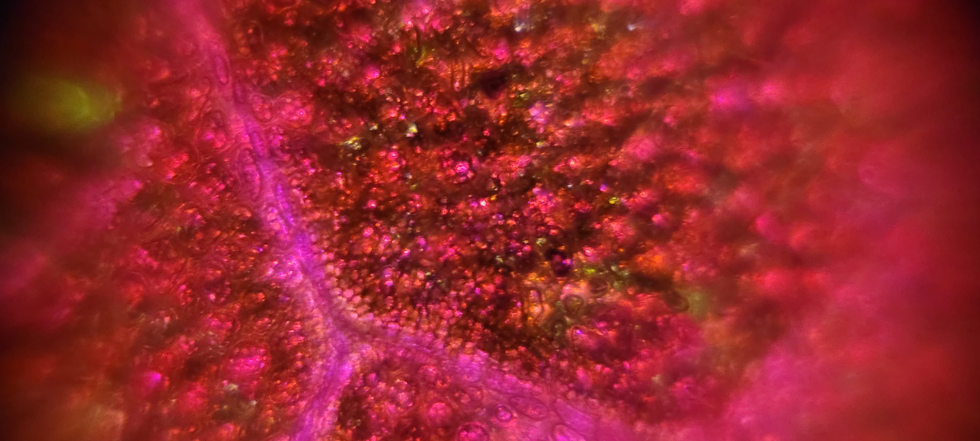 post_media%2Fq9SyDgedbFOQydcPSL5kVDGQ8cB2%2Fnopid%2Fs7ld8nh9x8_20260403_133529.jpg?alt=media&token=793aeb3d-8271-43d7-8484-09b9c0466704