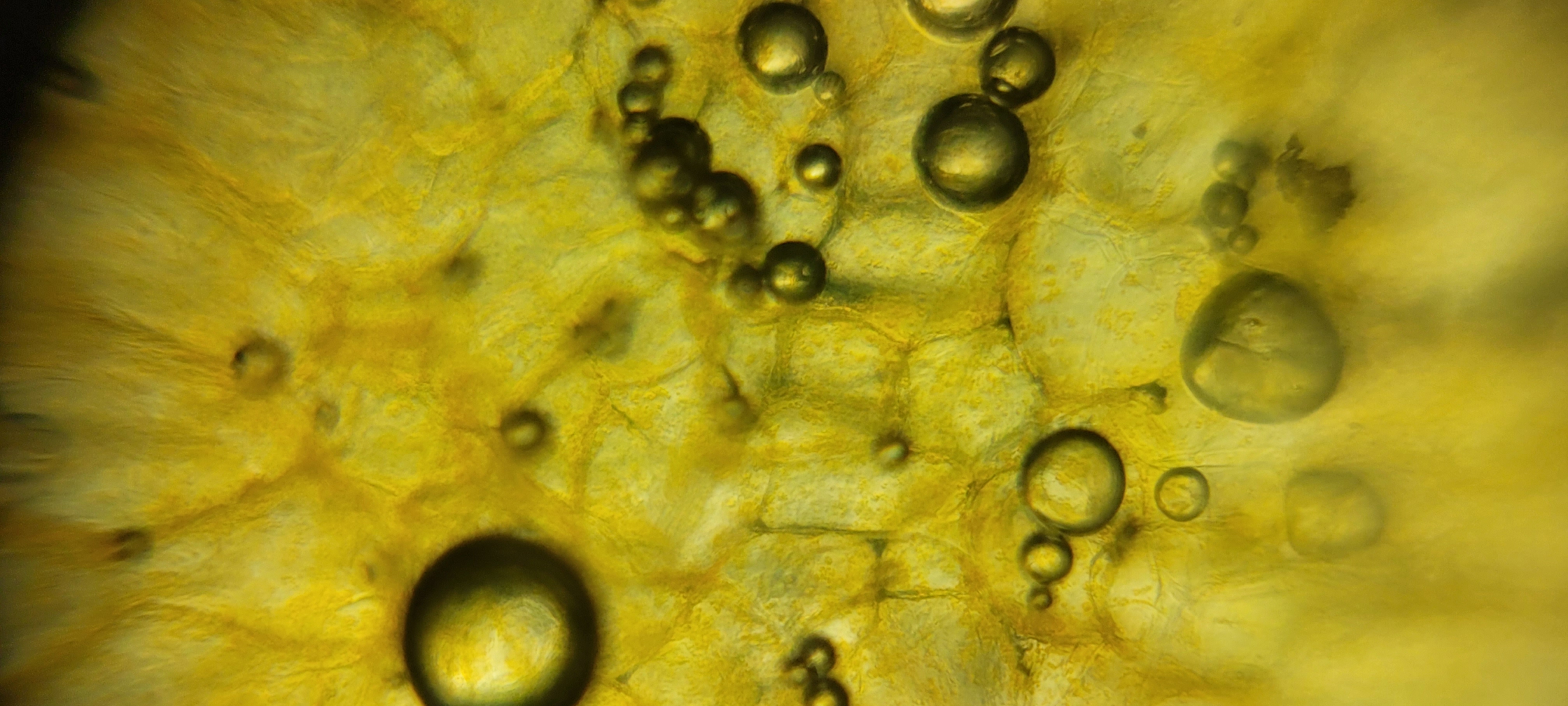 post_media%2Fq9SyDgedbFOQydcPSL5kVDGQ8cB2%2Fnopid%2Fwq3hhktxwe_20260403_133305.jpg?alt=media&token=c8a269ec-07b5-4b3e-8899-bb0fa16a78b3