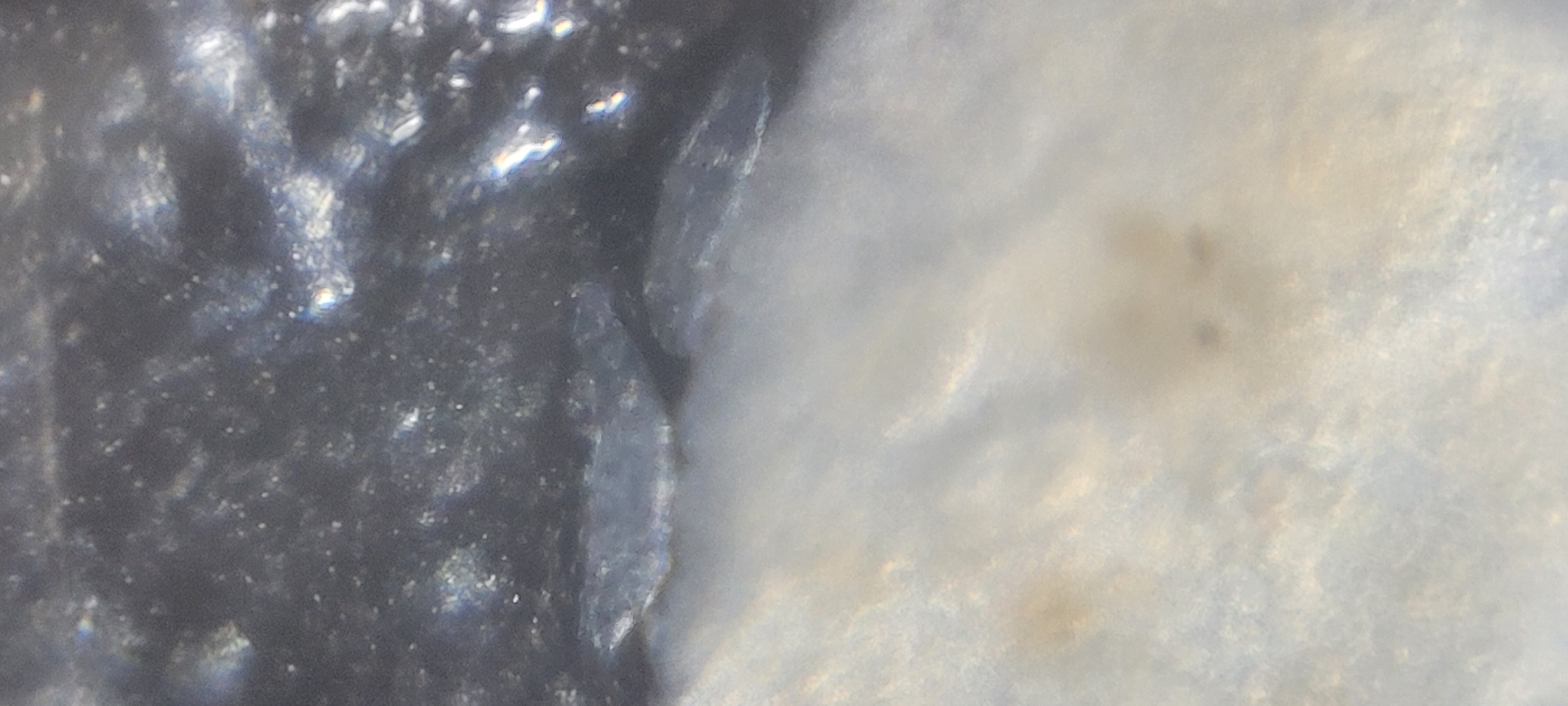 post_media%2Fq9SyDgedbFOQydcPSL5kVDGQ8cB2%2Fnopid%2Fyxgg1ia8ch_20260403_134826.jpg?alt=media&token=5f726e00-56a0-498c-9942-b656ea8f9811