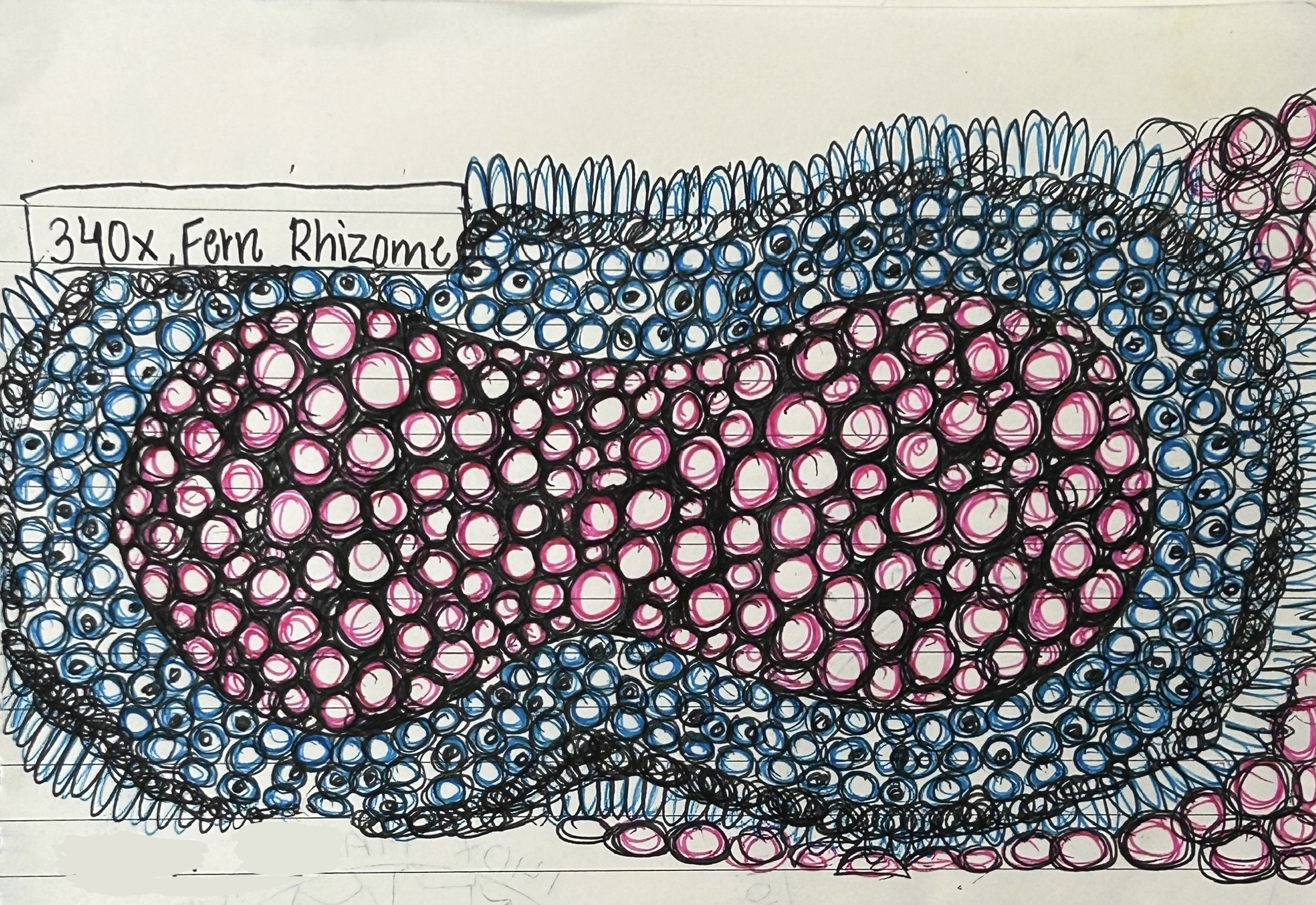 post_media%2FshweDqbwmcR3WDC6iZ01RJ0KrIb2%2Fnopid%2F6bhfzlhc35_IMG_7193.jpg?alt=media&token=3b2ed536-5d29-4810-8706-3e6b10cef206