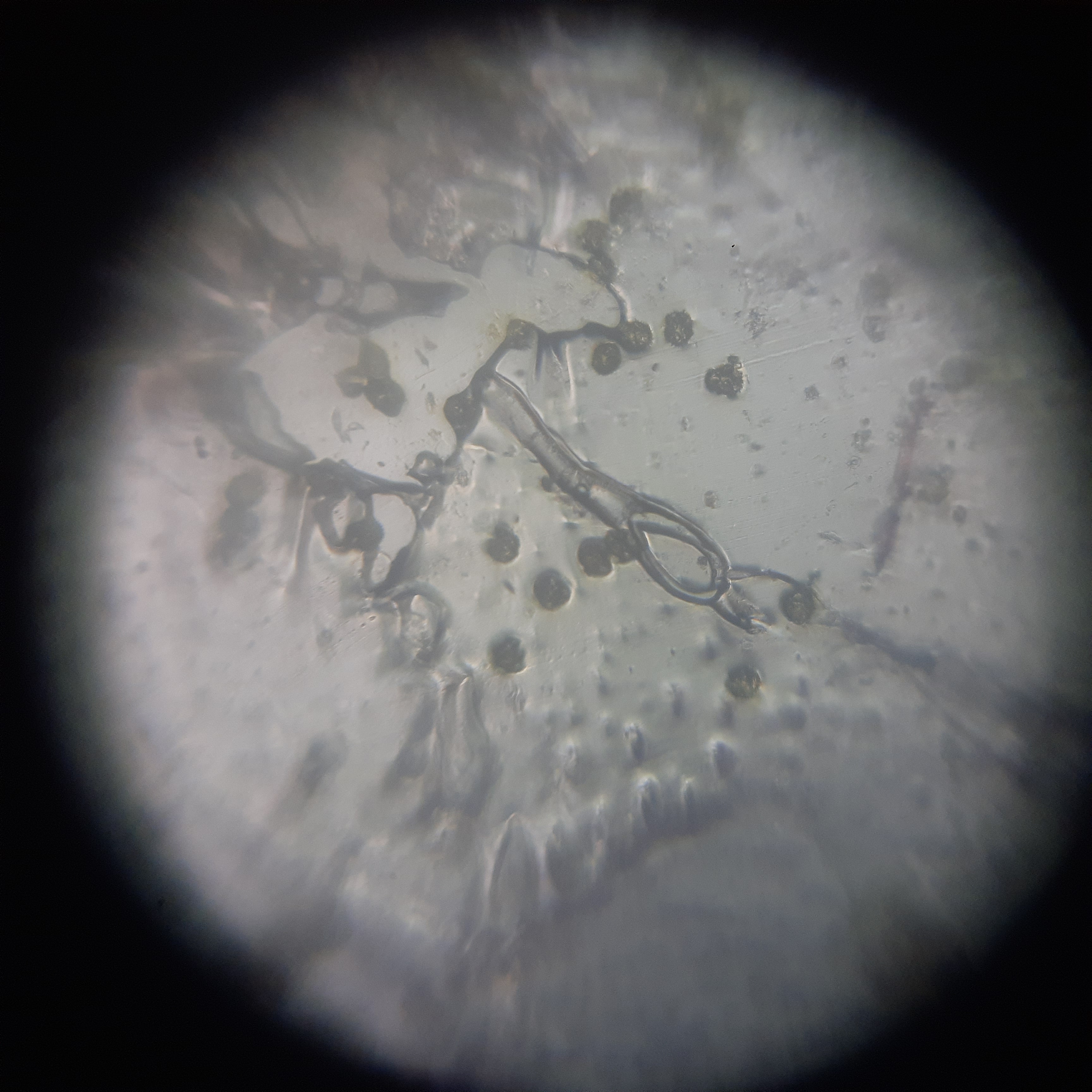 post_media%2Fw7YNp3yzFHWW3dEKHjxQ7dwAjwv2%2F0U8bkuhr3rXULpz7iUHy%2F561dpd0oo2_20260804_102651.jpg?alt=media&token=67c14777-0703-4f92-b1ce-b11eb8e605c9