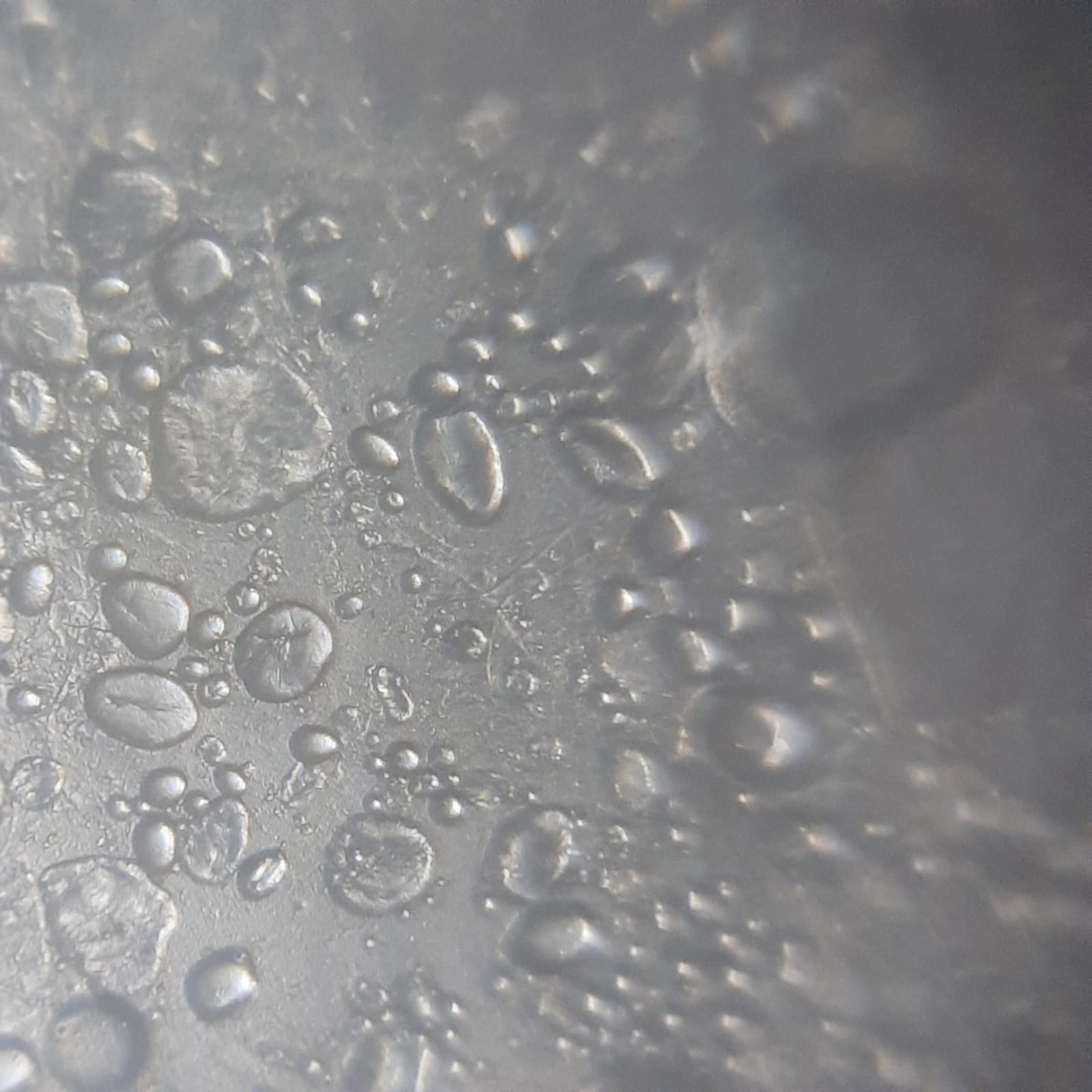 post_media%2Fw7YNp3yzFHWW3dEKHjxQ7dwAjwv2%2Fnopid%2F6ruui103md_WhatsApp%20Image%202026-02-17%20at%2010.17.15.jpeg?alt=media&token=8bfbb0cc-ce5c-453d-aaa9-7b97708be8e9