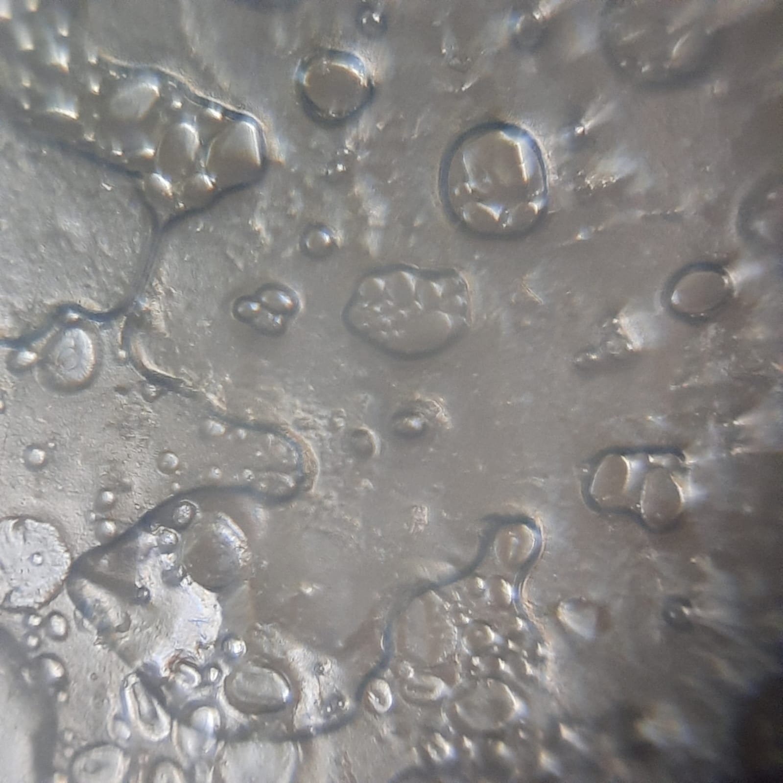 post_media%2Fw7YNp3yzFHWW3dEKHjxQ7dwAjwv2%2Fnopid%2F9t0op59azr_WhatsApp%20Image%202026-02-17%20at%2010.17.13.jpeg?alt=media&token=5df95898-bdc3-4447-bd66-677e83f469eb