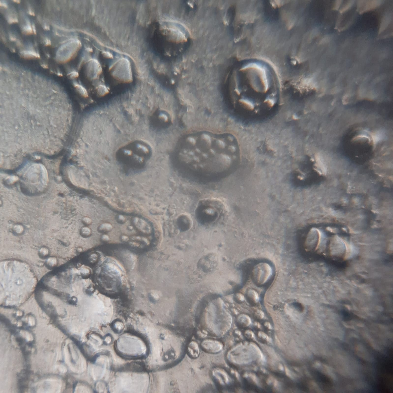 post_media%2Fw7YNp3yzFHWW3dEKHjxQ7dwAjwv2%2Fnopid%2Fm87th4ozlp_WhatsApp%20Image%202026-02-17%20at%2010.17.12%20(1).jpeg?alt=media&token=a61a5cc9-7a8d-4b38-b33c-9533af1b8faa