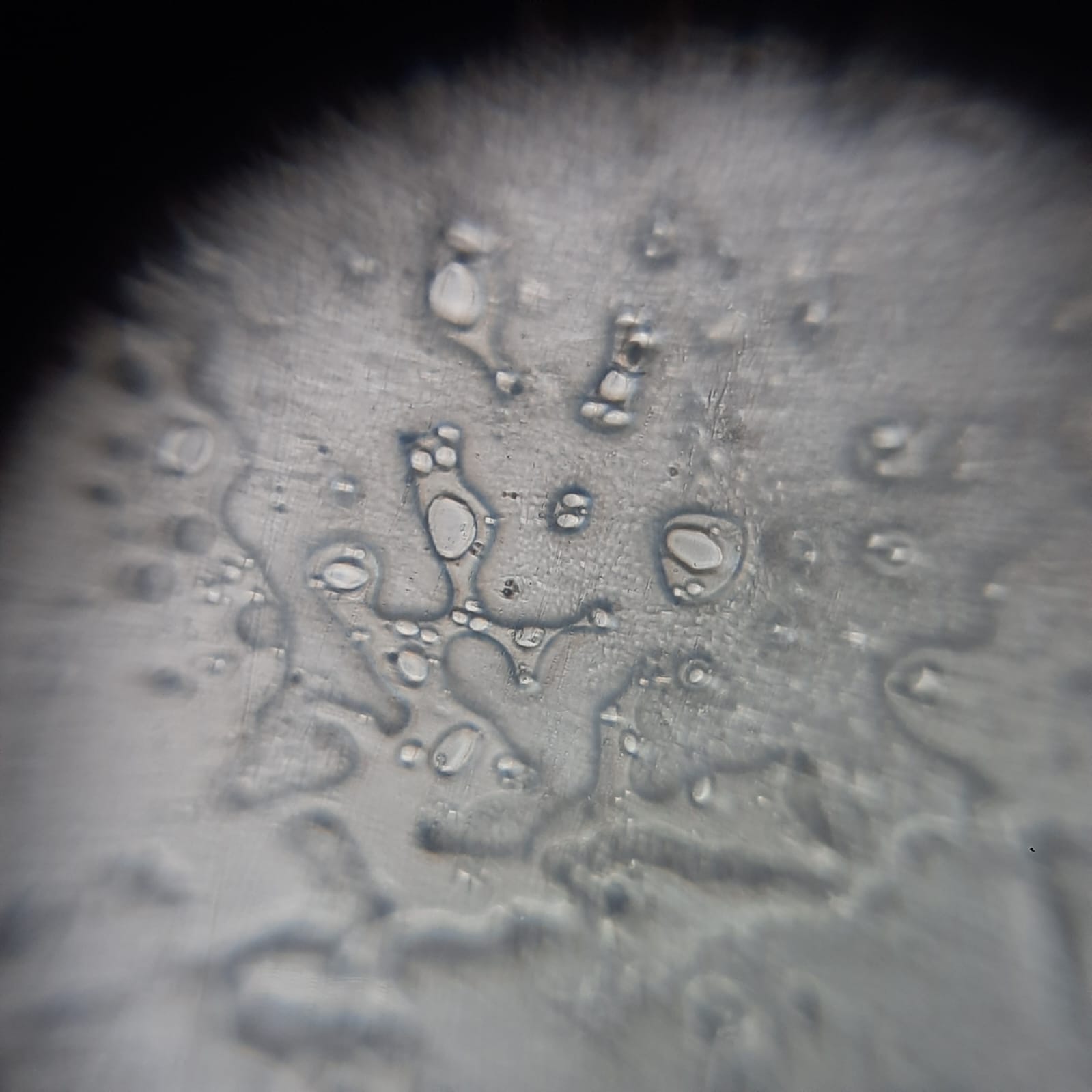 post_media%2Fw7YNp3yzFHWW3dEKHjxQ7dwAjwv2%2Fnopid%2Fmtj4hfa3ww_WhatsApp%20Image%202026-02-17%20at%2010.17.15%20(1).jpeg?alt=media&token=beabc311-3492-4de4-bd01-f4f4beab4b90