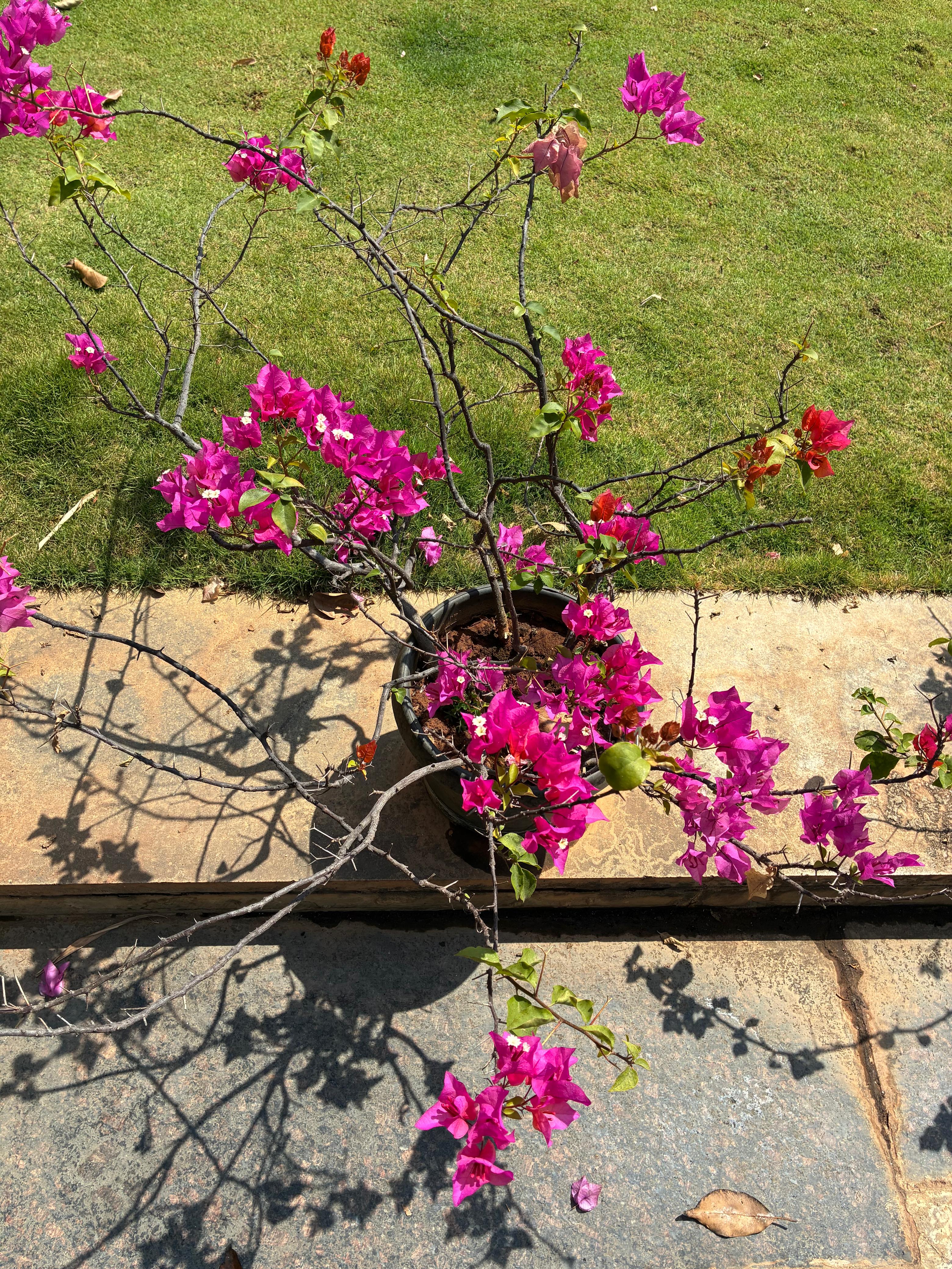 post_media%2Fw7YNp3yzFHWW3dEKHjxQ7dwAjwv2%2Fnopid%2Fq3k6tztbwg_WhatsApp%20Image%202026-03-14%20at%2017.10.36%20(1).jpeg?alt=media&token=6987d80d-8064-4f74-96a8-bf70105fa814