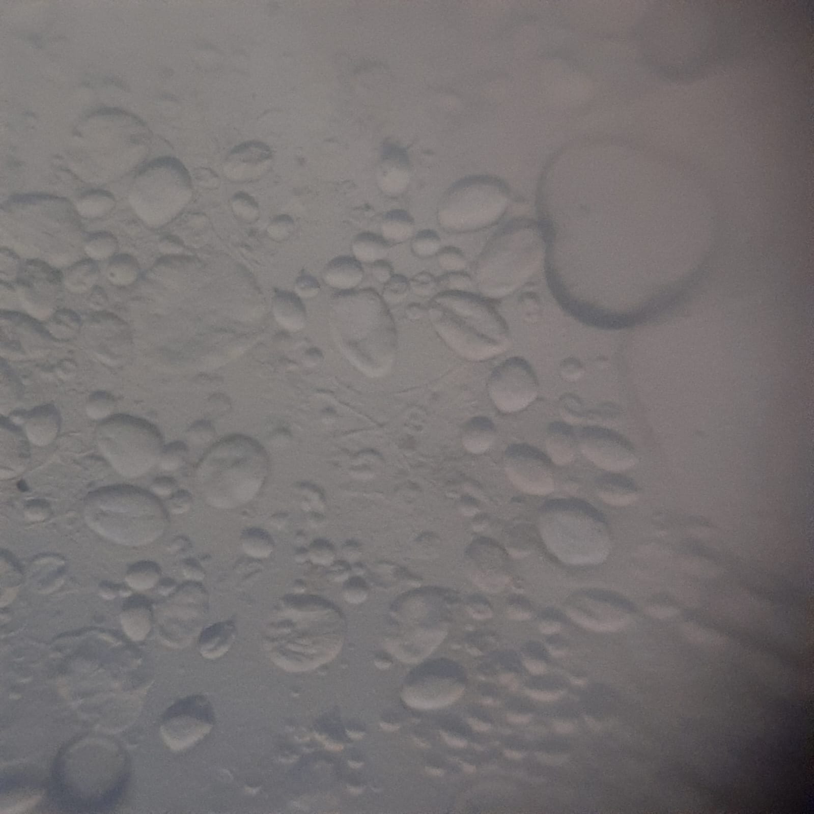 post_media%2Fw7YNp3yzFHWW3dEKHjxQ7dwAjwv2%2Fnopid%2Ft4rxd36sp8_WhatsApp%20Image%202026-02-17%20at%2010.17.13%20(1).jpeg?alt=media&token=559c9c4f-ab74-45bd-922c-c3401aeb76b3