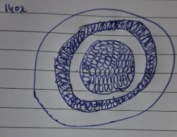 post_media%2FwUqD3HYXKhcteGyezNfeTkhAkxq1%2FdDfMFE4al1wKZmFnHNMi%2F35ajg169p3_140x%20%20rhizome%20drawing%20(1).jpg?alt=media&token=dfa6fb0c-d361-412e-a483-566fa49ad948