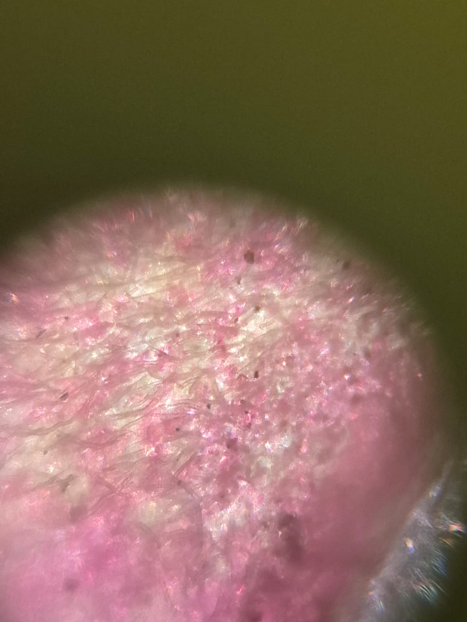 post_media%2FxFPPNjMsshfIZfimukSKENeTB3h1%2FF2VVAAsqLhwVM8gHC2QA%2F3kwg15iuby_IMG-20260425-WA0009.jpg?alt=media&token=ec32c86b-efa3-4dd9-a752-c1b3b51849fd