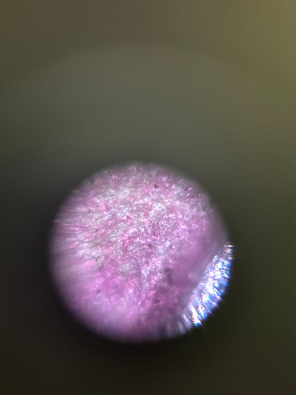 post_media%2FxFPPNjMsshfIZfimukSKENeTB3h1%2FF2VVAAsqLhwVM8gHC2QA%2F6tr1mlml26_IMG-20260425-WA0010.jpg?alt=media&token=f5c677c4-7a17-4528-a82b-08b4ebdc7a1f