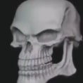Bad to the bone skull