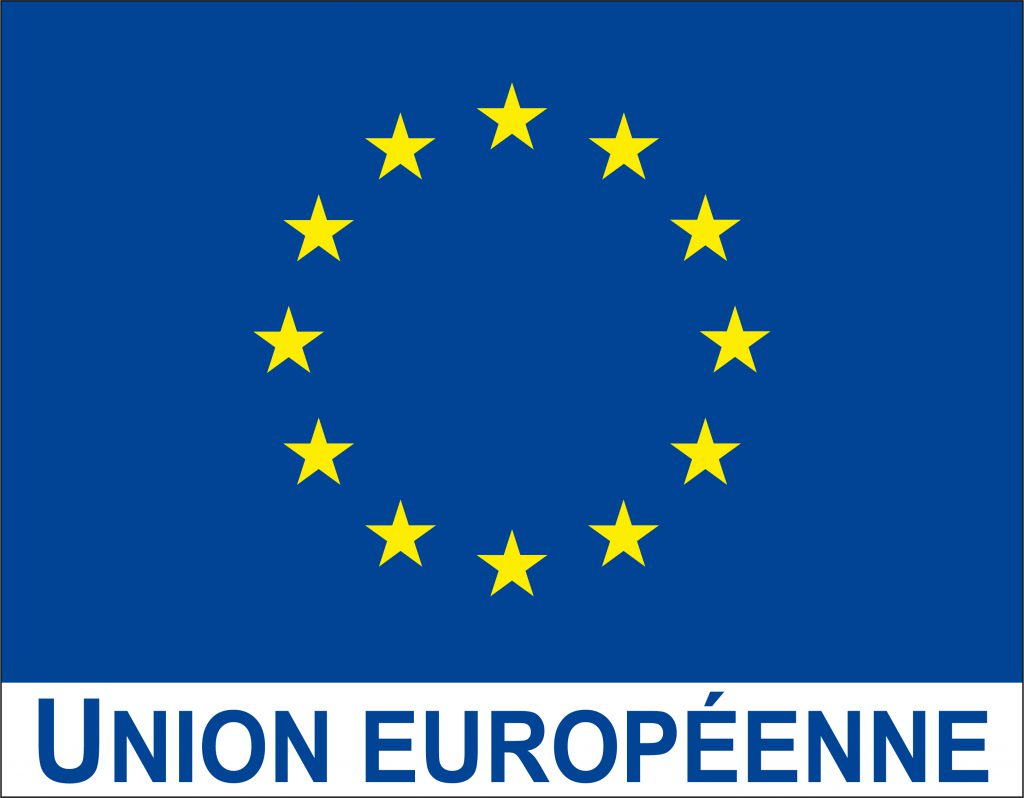 Union européenne logo