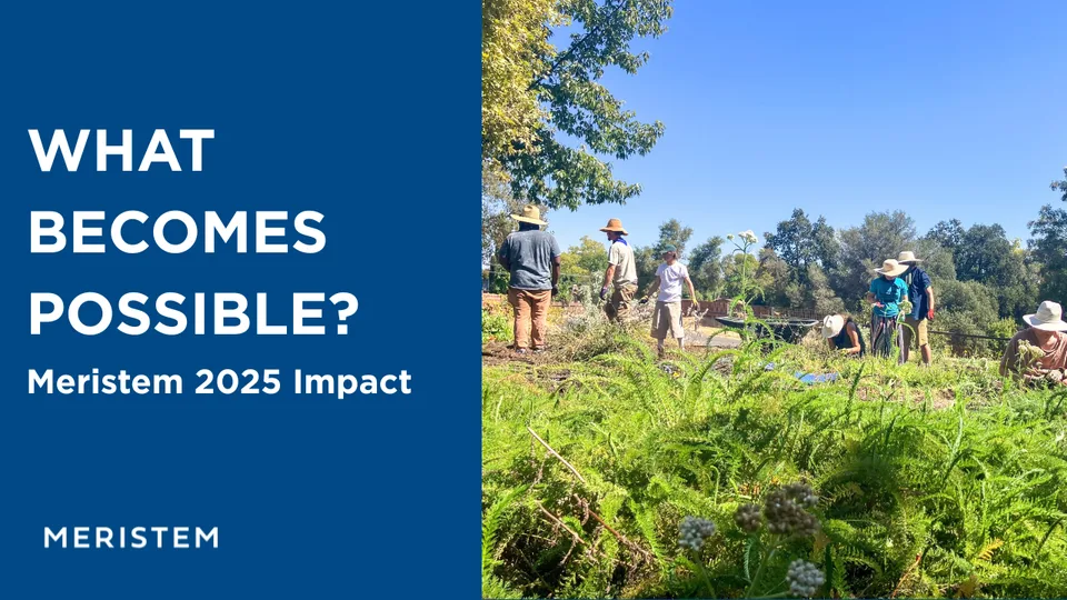 Group gardening in a sunny field beside a blue graphic banner reading Meristem 2025 Impact.