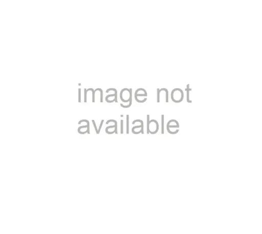 Leptogenys leiothorax - SAM-ENT-0011537A