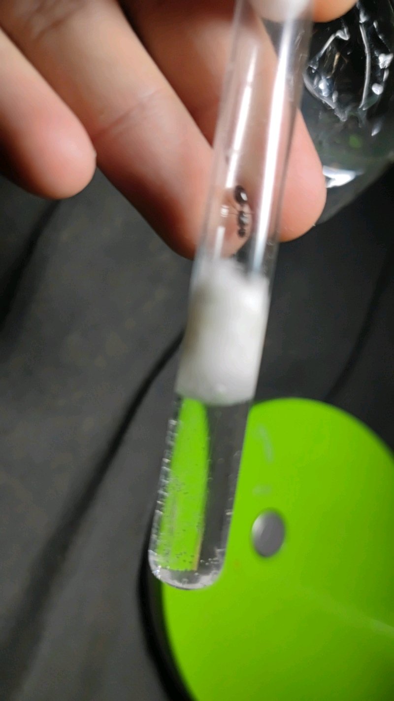 Tetramorium caespitum