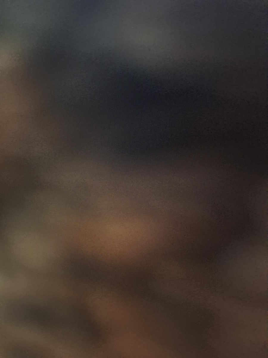 Flight image for Formicidae on 26 Feb 2026