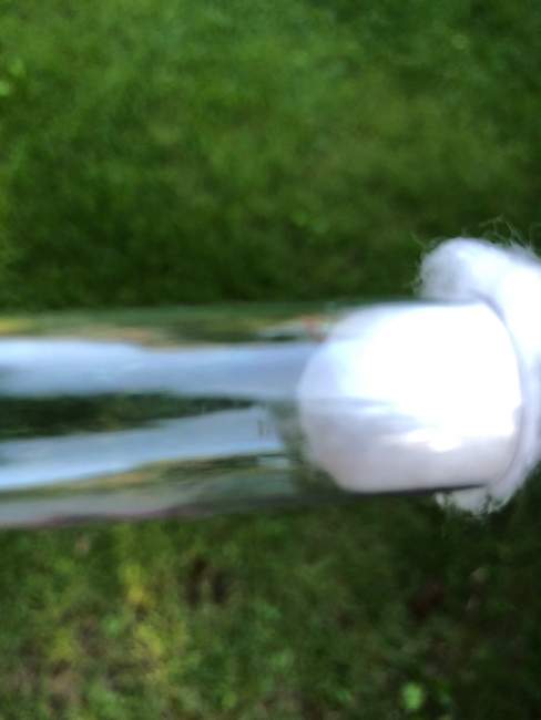 Flight image for Temnothorax sp. on 11 Aug 2024