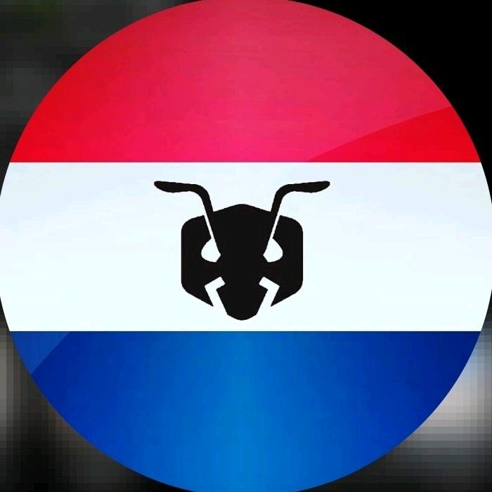 Ants Netherlands
