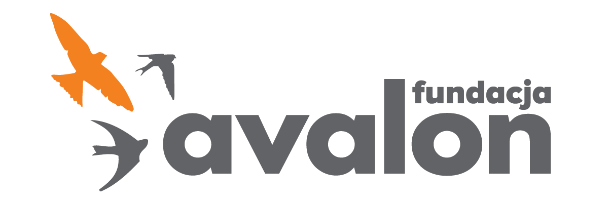 Logo firmy