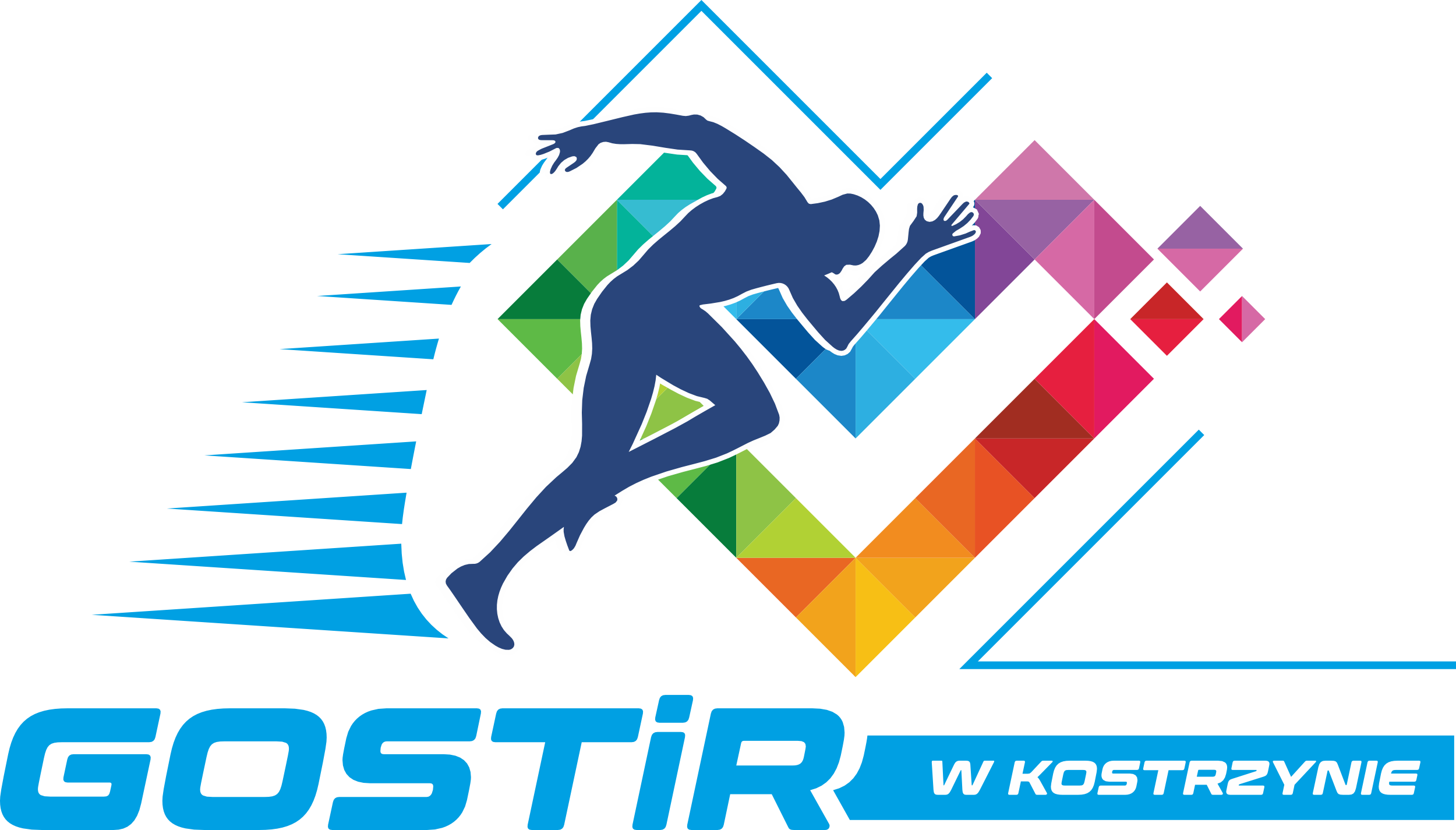 Logo firmy