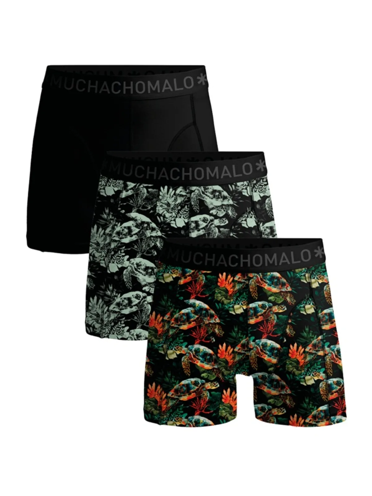 Turtle