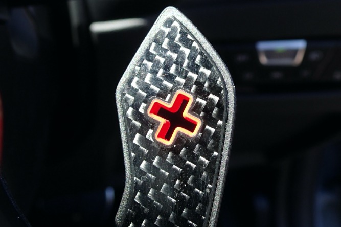 Carbon fibre gear shift paddle