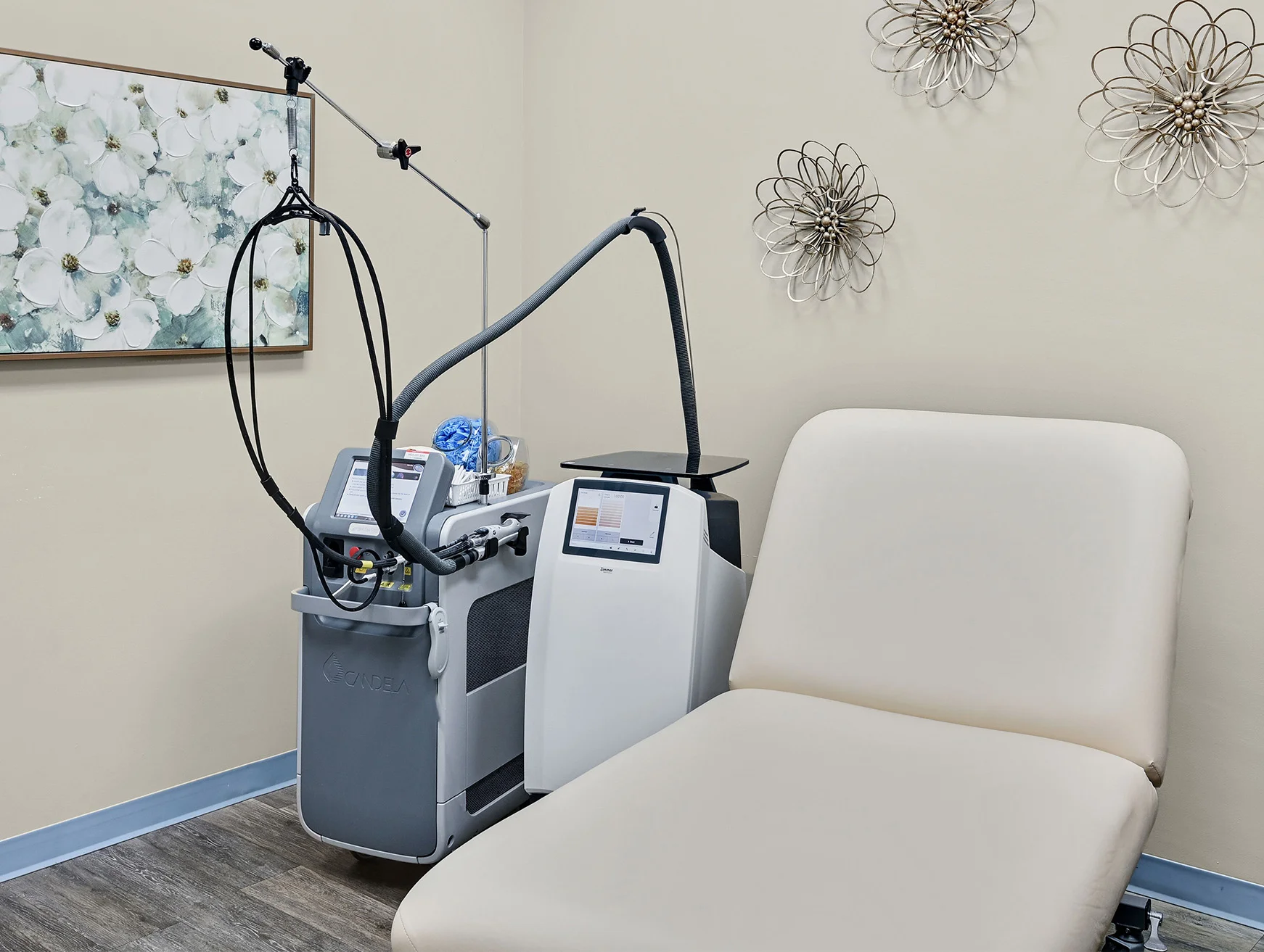 Milan Laser Hair Removal Clinic in South Bend