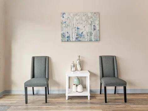 Milan Laser Hair Removal Clinic in Chattanooga