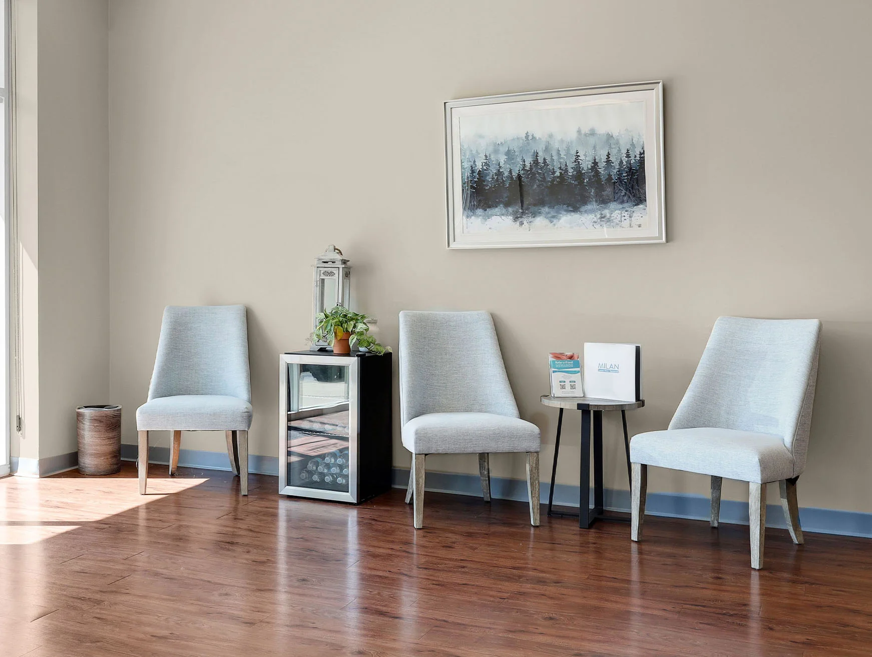 Milan Laser Hair Removal Clinic in Nashville