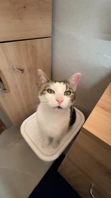 Sebastian 's profile photo - Travel enthusiast who has visited 2 countries