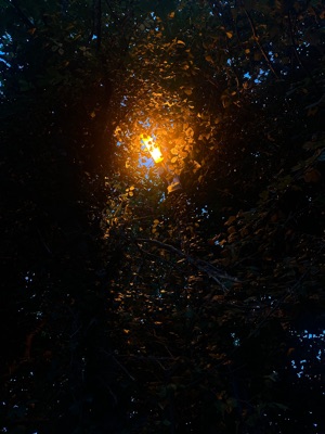 Archietoll's profile photo - Travel enthusiast who has visited 0 countries