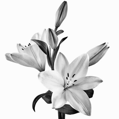 sofiluli's profile photo - Travel enthusiast who has visited 2 countries