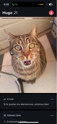 Lea's profile photo - Travel enthusiast who has visited 18 countries