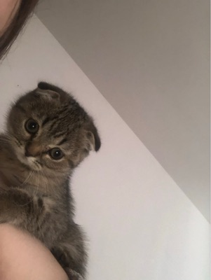 Владюша's profile photo - Travel enthusiast who has visited 1 countries