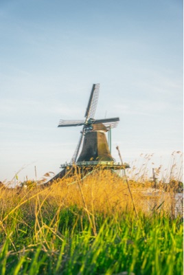 Postcard Wilde's profile photo - Travel enthusiast who has visited 0 countries