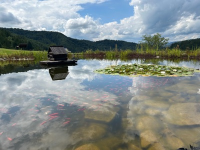 Karolina 's profile photo - Travel enthusiast who has visited 2 countries